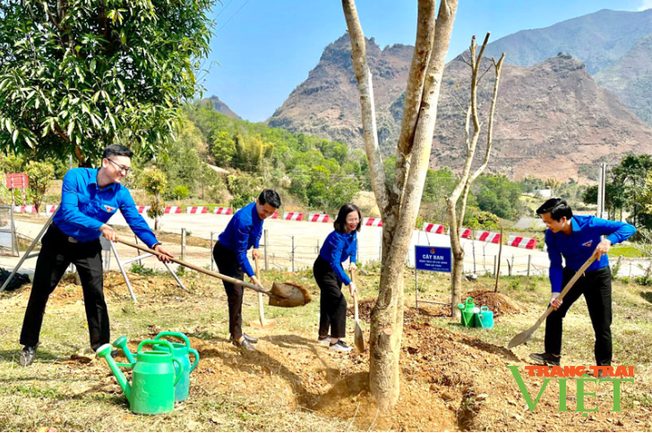 Lai Châu: Khởi động tháng Thanh niên và phát động Tết trồng cây- Ảnh 4.