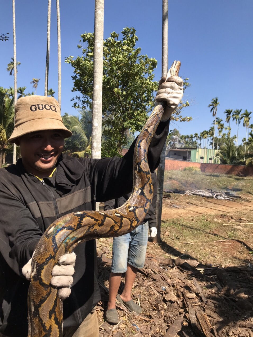 Ra dọn vườn, một nông dân Đắk Lắk bất ngờ bắt được con trăn đất quý dài 4m, đem giao nộp kiểm lâm- Ảnh 1.