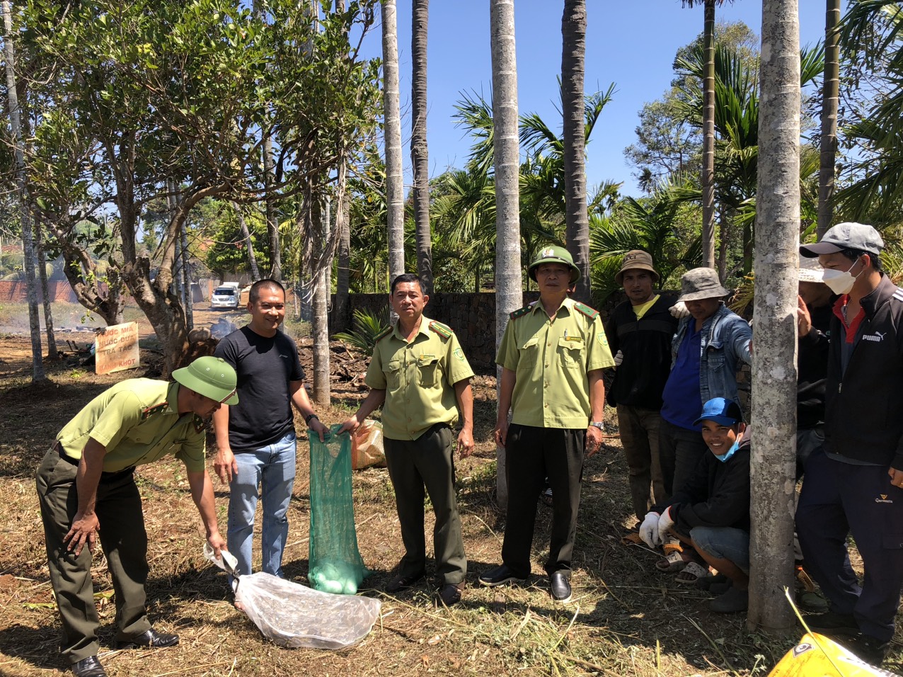 Ra dọn vườn, một nông dân Đắk Lắk bất ngờ bắt được con trăn đất quý dài 4m, đem giao nộp kiểm lâm- Ảnh 2.