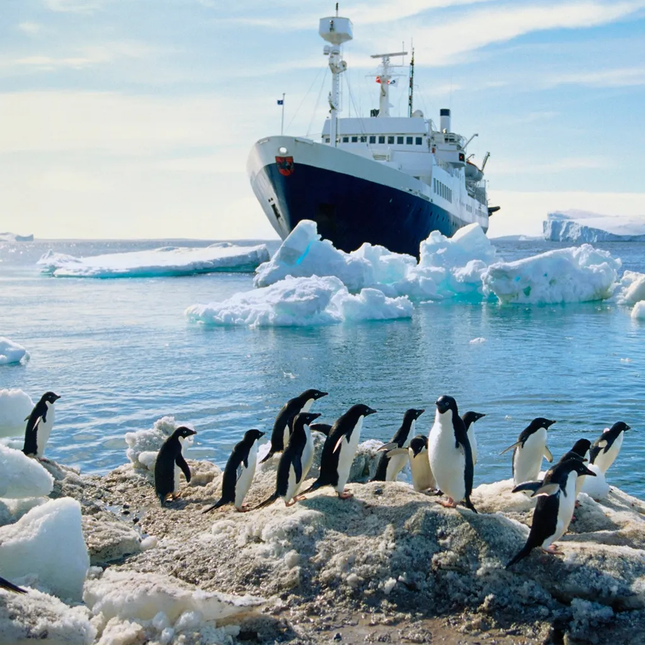 Có nên du lịch Nam Cực?- Ảnh 3.