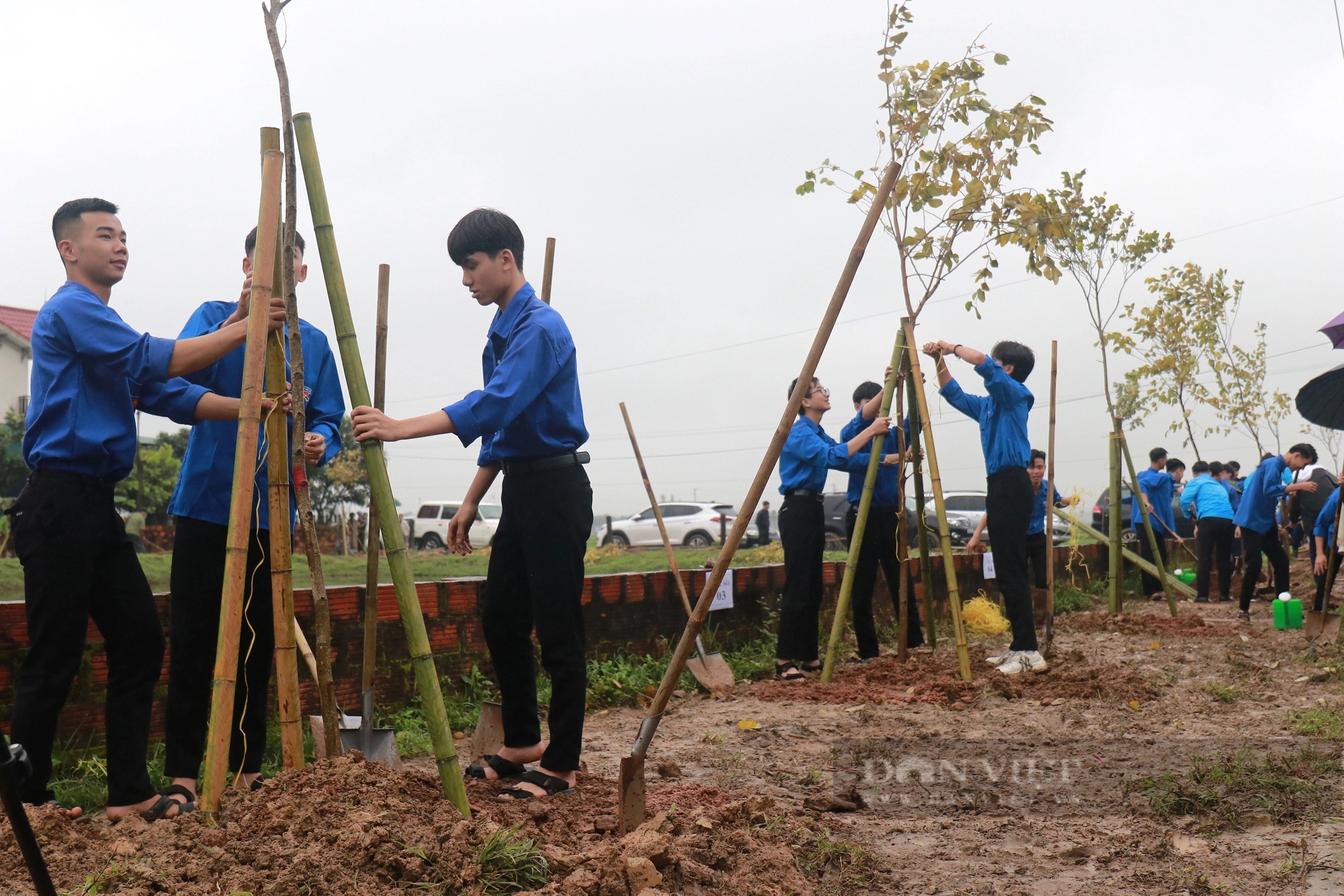 Bộ Tài nguyên và Môi trường trồng 120.000 cây phi lao chắn sóng, khởi công xây dựng nhà lưu niệm Anh hùng Phan Đình Giót- Ảnh 8.