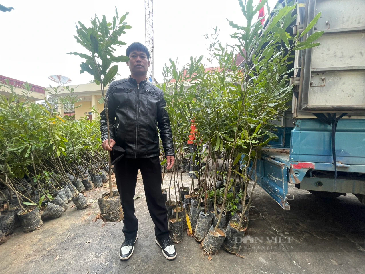 Được tặng cây giống mắc ca, nông dân ở Lộc Bình (Lạng Sơn) mong vươn lên thoát nghèo - Ảnh 3.