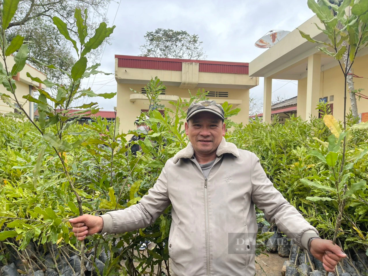 Được tặng cây giống mắc ca, nông dân ở Lộc Bình (Lạng Sơn) mong vươn lên thoát nghèo - Ảnh 6.
