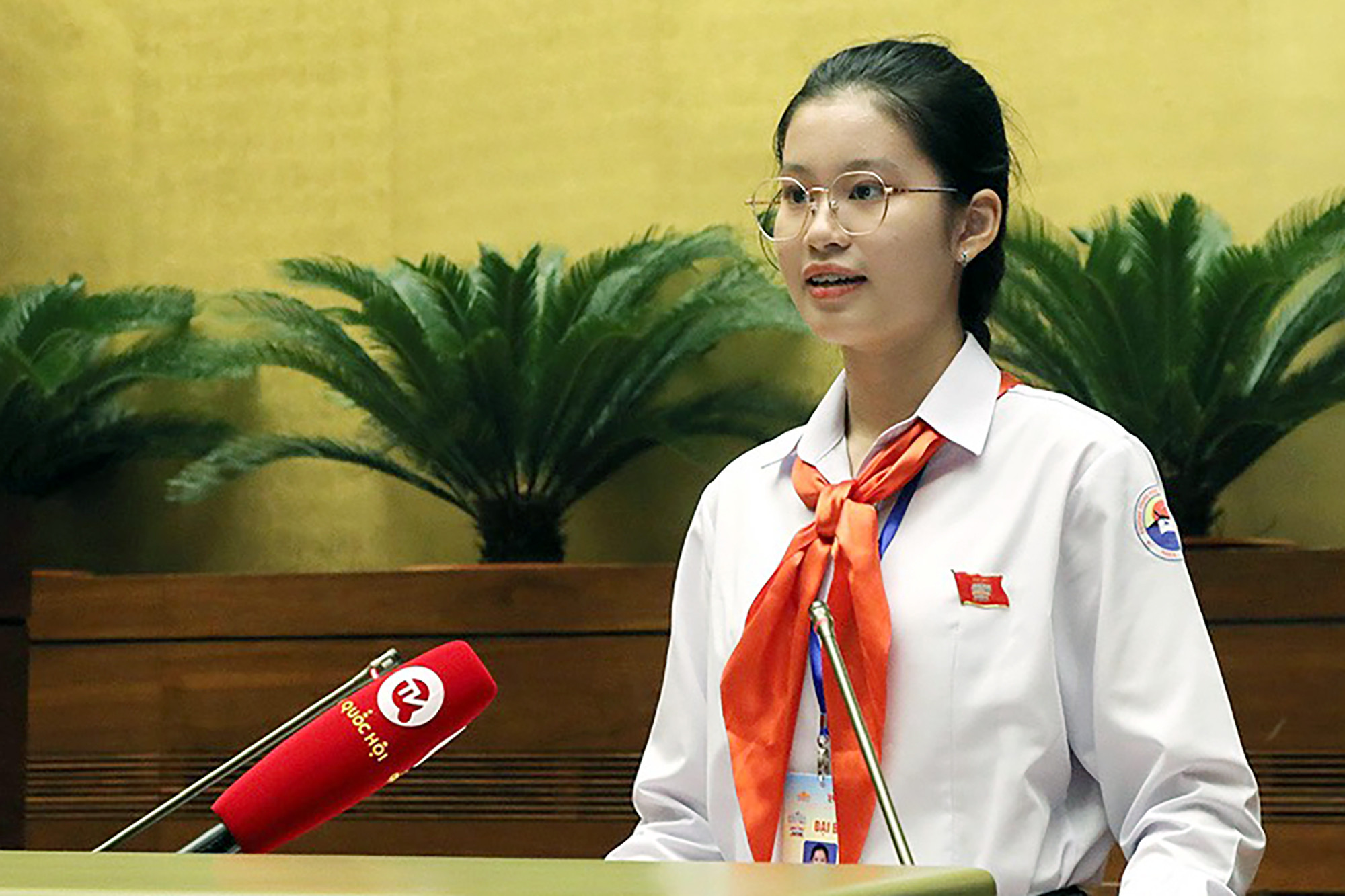 Nữ sinh nhỏ tuổi nhất trong 20 đề cử Gương mặt trẻ Việt Nam tiêu biểu 2023: Thành tích đáng nể- Ảnh 1.