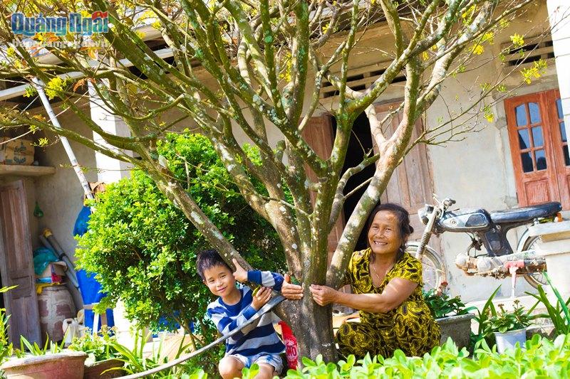 Vì sao một làng ở Quảng Ngãi ví như xứ sở ngàn mai, cả làng trồng mai đẹp mê mẩn mà chả bán bao giờ- Ảnh 7.
