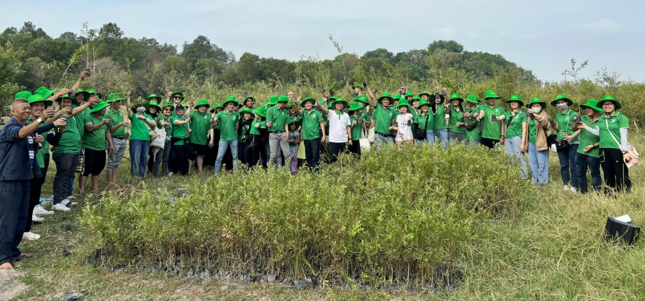 Ở một hòn đảo của Tây Ninh, dân đang trồng cây tràm 5 gân xuất xứ từ Úc để làm gì?- Ảnh 2.