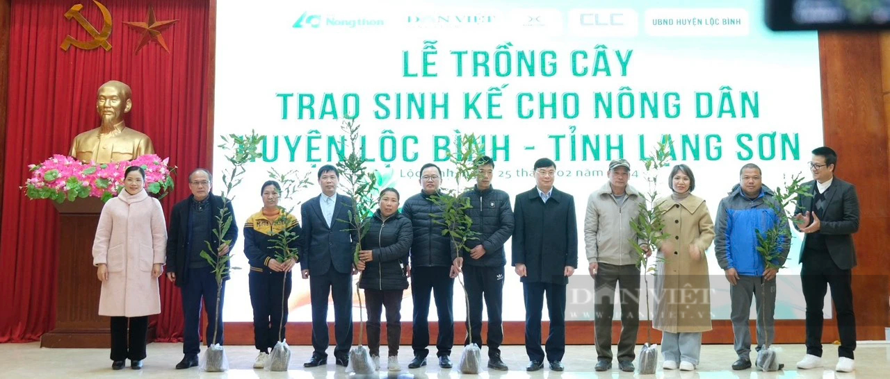 Lạng Sơn: Hình ảnh nông dân Lộc Bình phấn khởi nhận gần 4.000 cây giống mắc ca- Ảnh 2.
