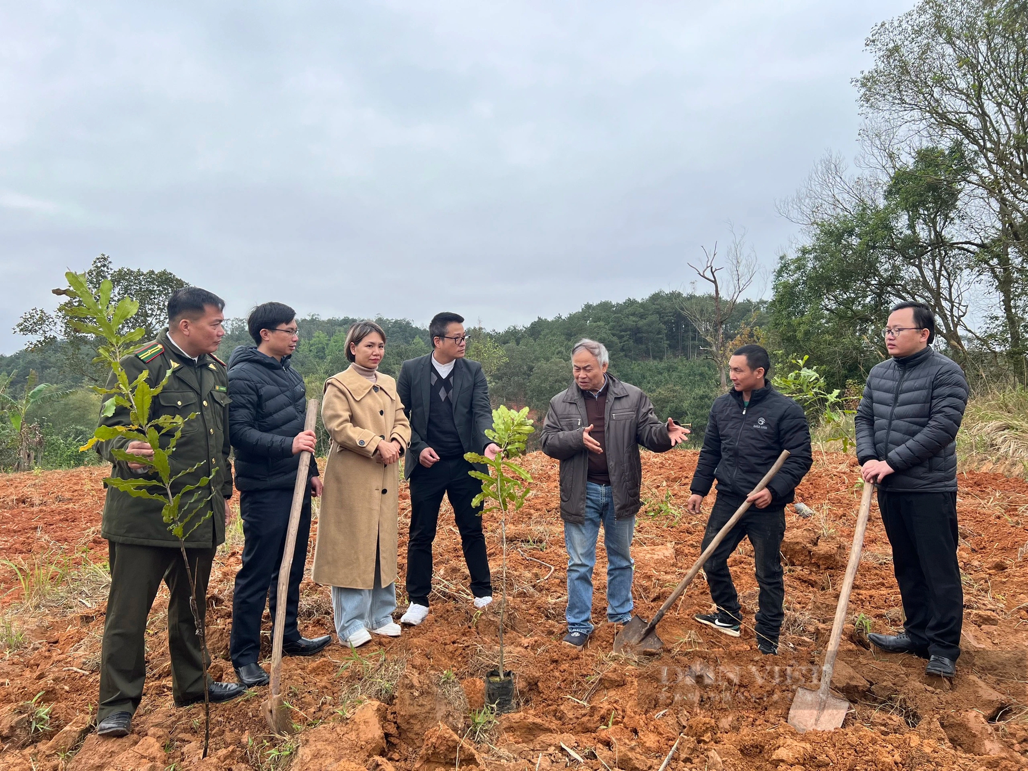 Lạng Sơn: Hình ảnh nông dân Lộc Bình phấn khởi nhận gần 4.000 cây giống mắc ca- Ảnh 8.