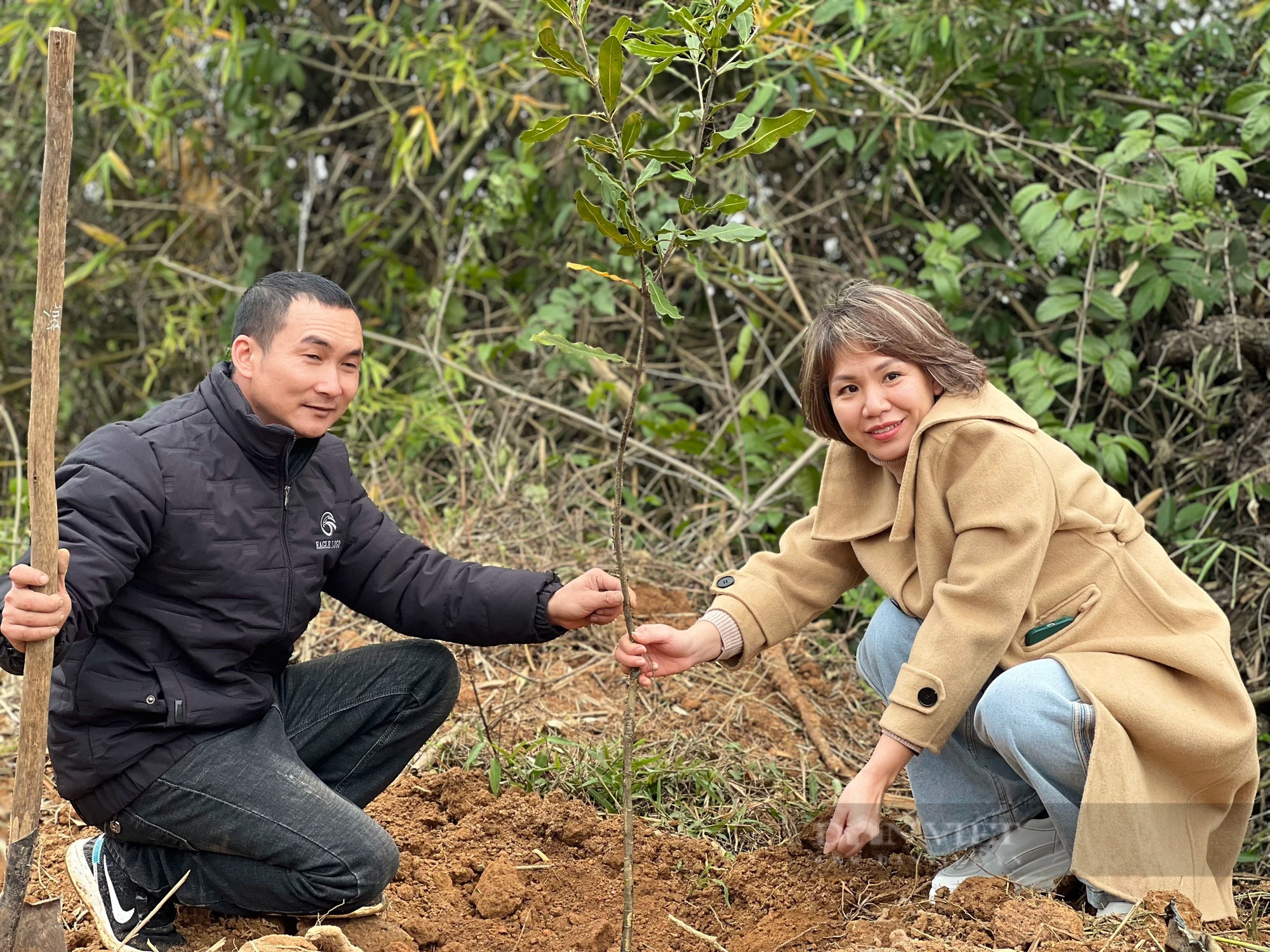 Lạng Sơn: Hình ảnh nông dân Lộc Bình phấn khởi nhận gần 4.000 cây giống mắc ca- Ảnh 9.