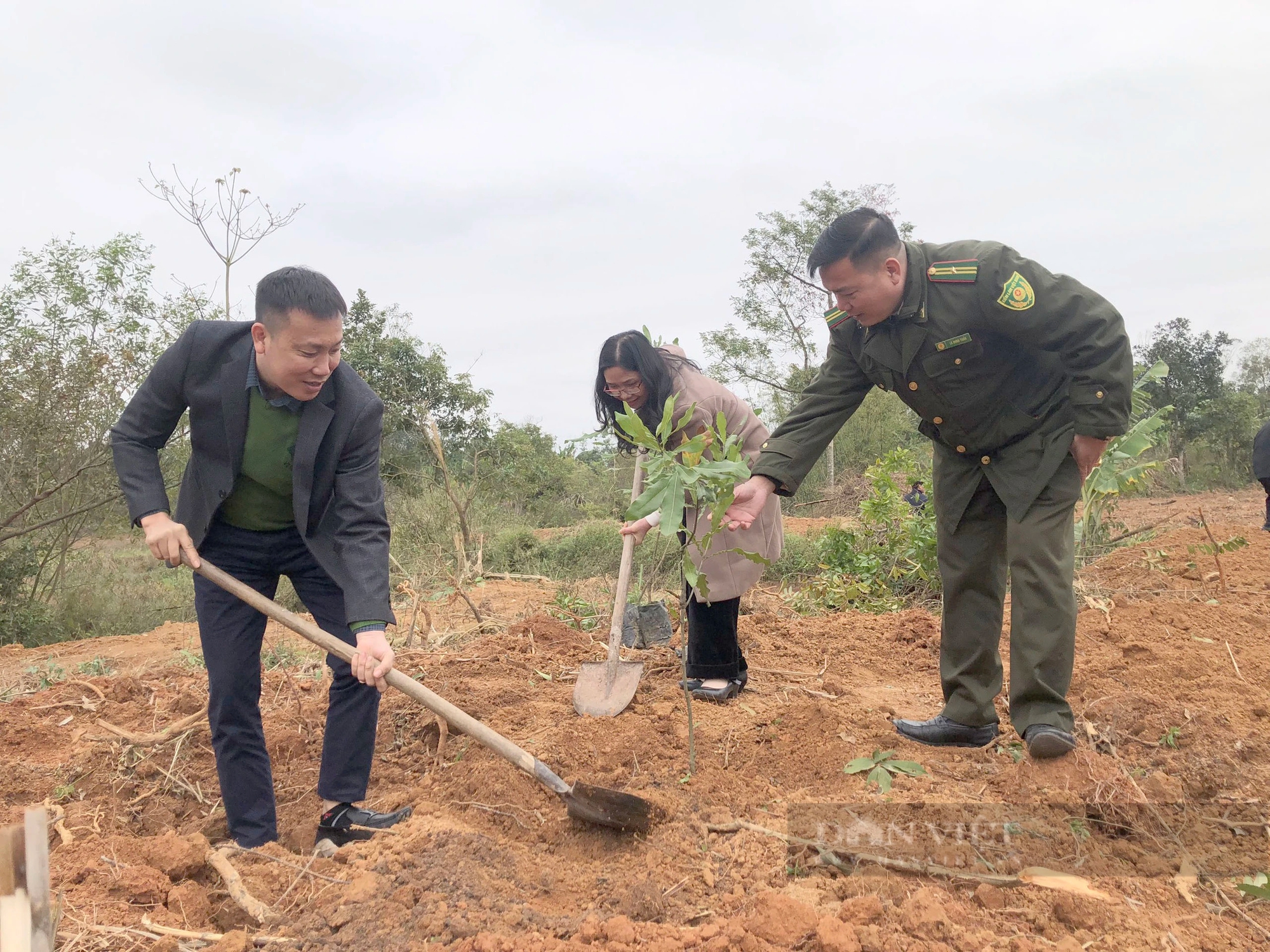 Lạng Sơn: Hình ảnh nông dân Lộc Bình phấn khởi nhận gần 4.000 cây giống mắc ca- Ảnh 10.