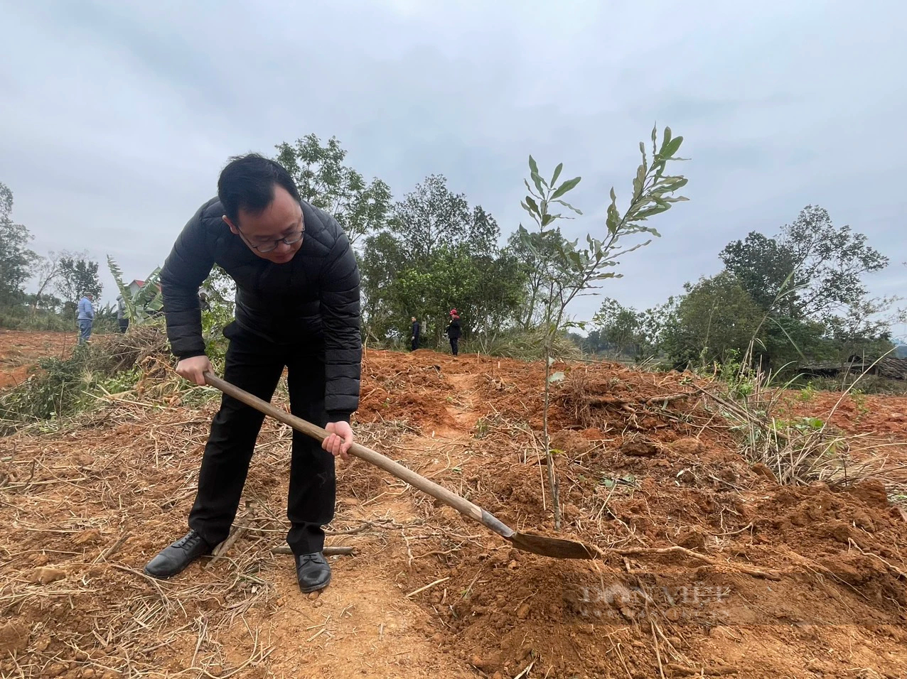 Lạng Sơn: Hình ảnh nông dân Lộc Bình phấn khởi nhận gần 4.000 cây giống mắc ca- Ảnh 11.