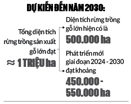 Bộ NNPTNT xây dựng kế hoạch phát triển 1 triệu hecta rừng sản xuất gỗ lớn- Ảnh 2.