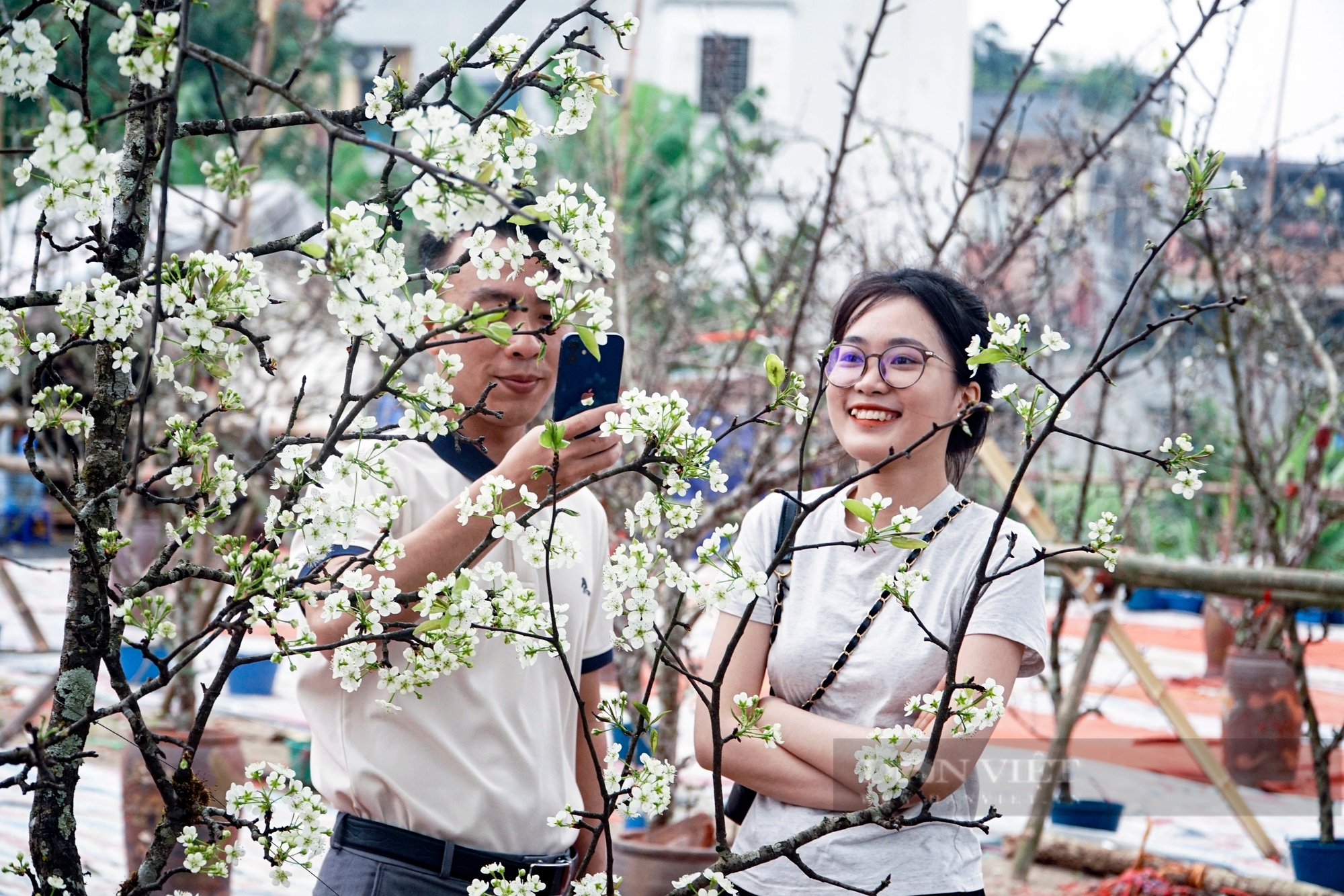 Người Hà Nội săn loài hoa rừng trắng muốt, thân xù xì gai góc để chơi sau Tết- Ảnh 5.