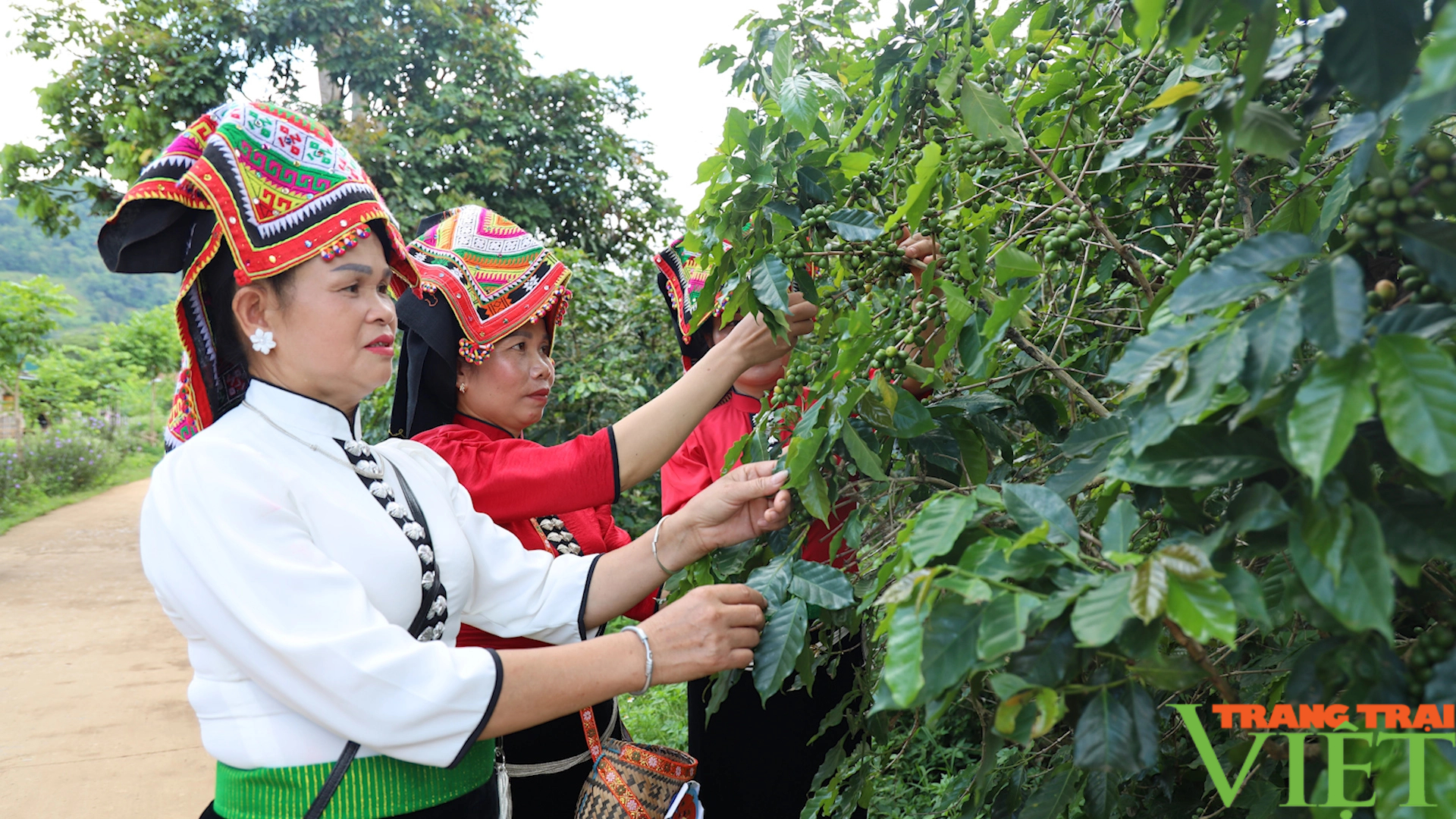 Hội viên nông dân tích cực tham gia xây dựng nông thôn mới kiểu mẫu nơi vùng cao- Ảnh 2.