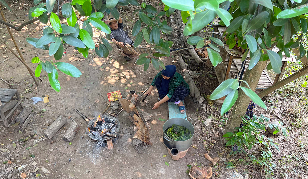 Đây là loại quả rừng "ngon", trái nhìn lạ lắm, ở An Giang đem nấu canh cá linh non, 10 người khen cả 10- Ảnh 3.