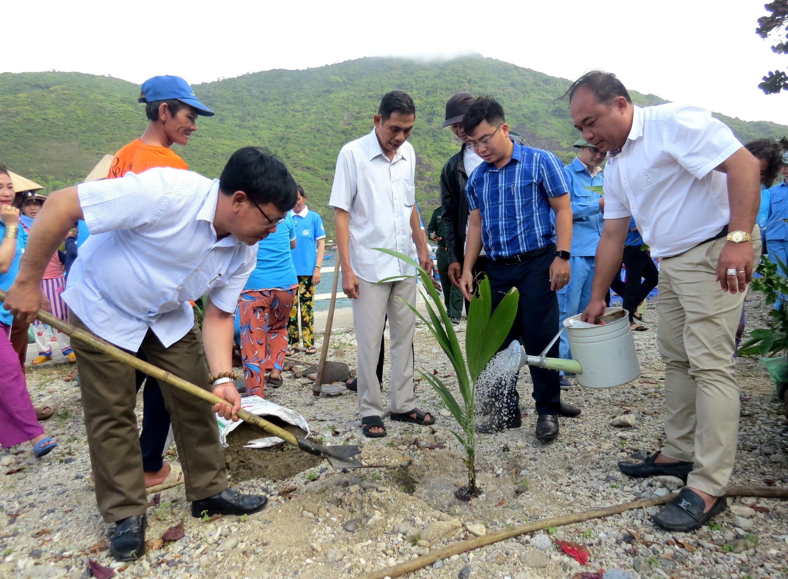 Nha Trang: Trồng 300 cây hoa giấy, bàng và dừa trên đảo Bích Đầm - Ảnh 2.