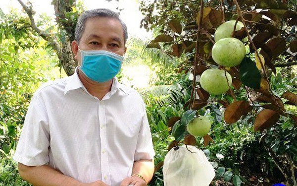 Loại trái cây đặc sản, quả ngon này ở một huyện của Tiền Giang hễ ai nhìn thấy là muốn cắn một miếng