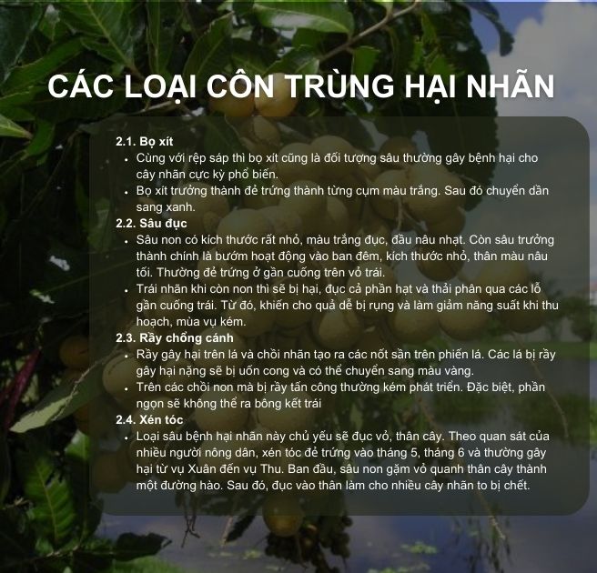 SỔ TAY NHÀ NÔNG: Một số loại sâu bệnh hại cây nhãn và cách phòng trị- Ảnh 3.