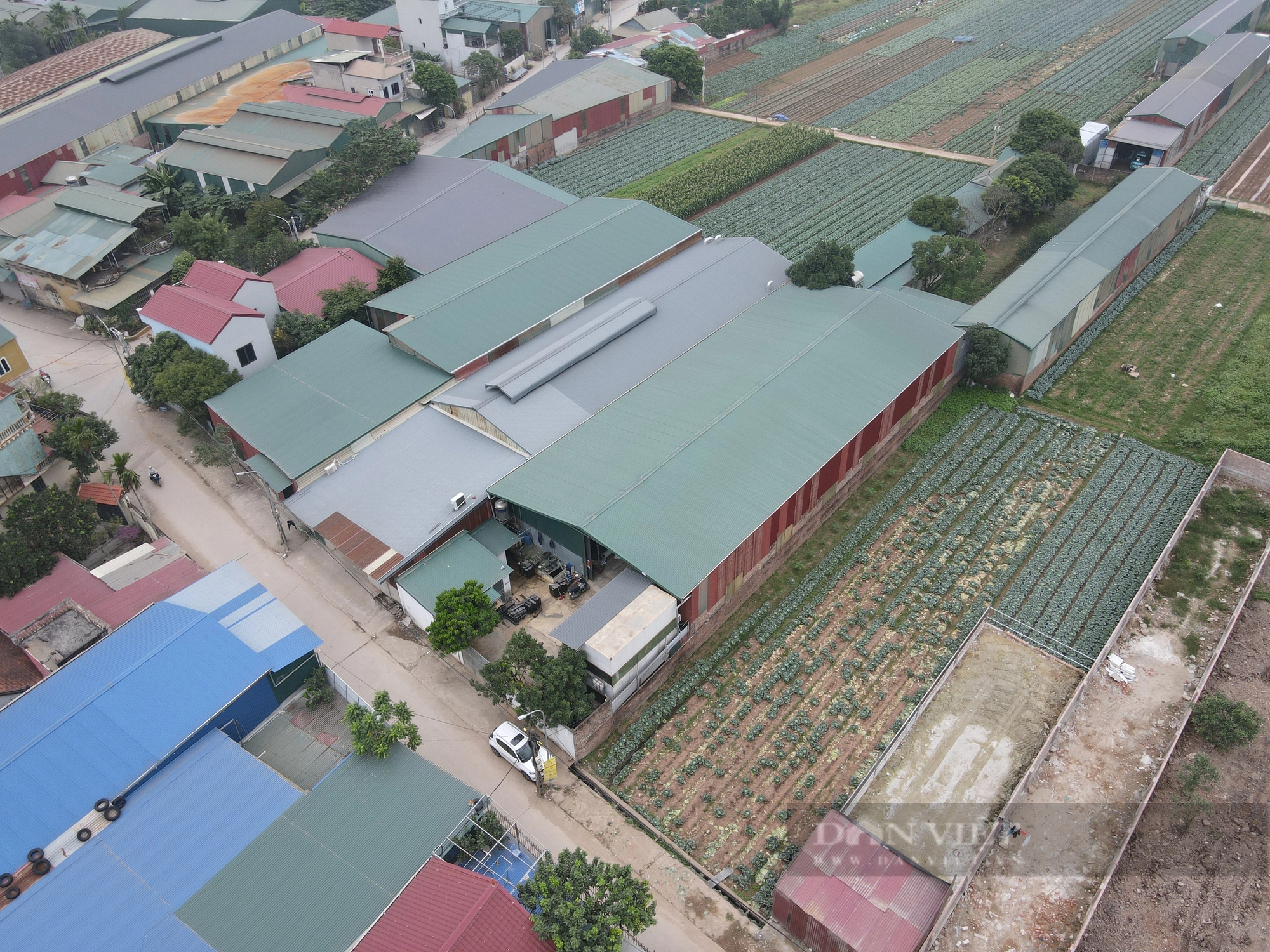 Mánh khóe để “thần tốc” dựng nhà xưởng trái phép trên đất nông nghiệp tại Hà Nội (Bài 1)- Ảnh 1.