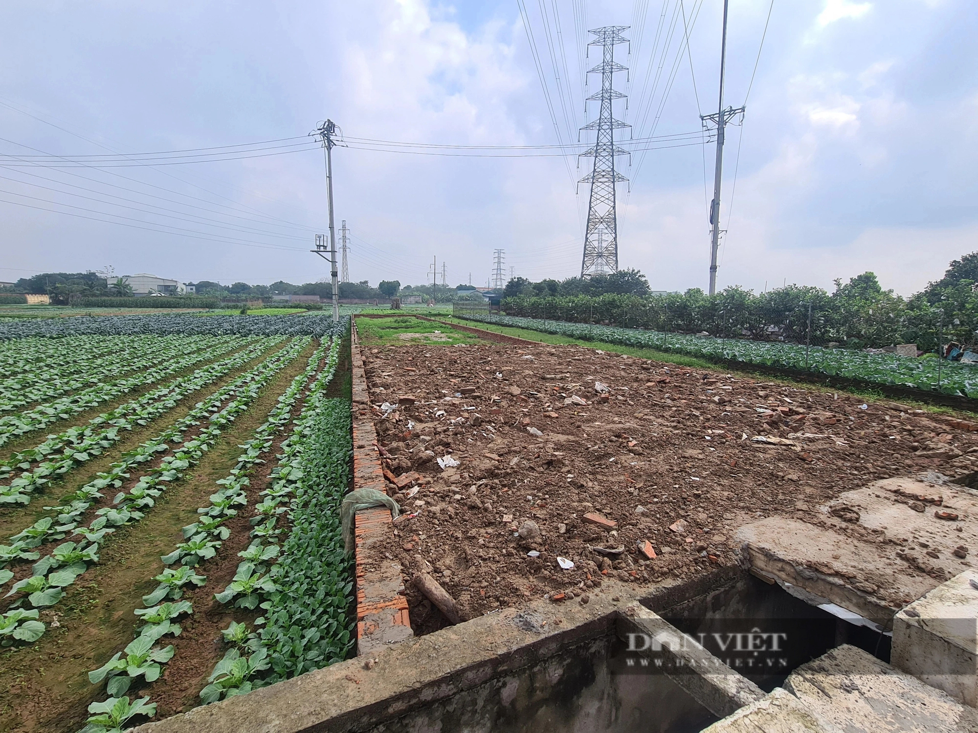 Mánh khóe để “thần tốc” dựng nhà xưởng trái phép trên đất nông nghiệp tại Hà Nội (Bài 1)- Ảnh 5.