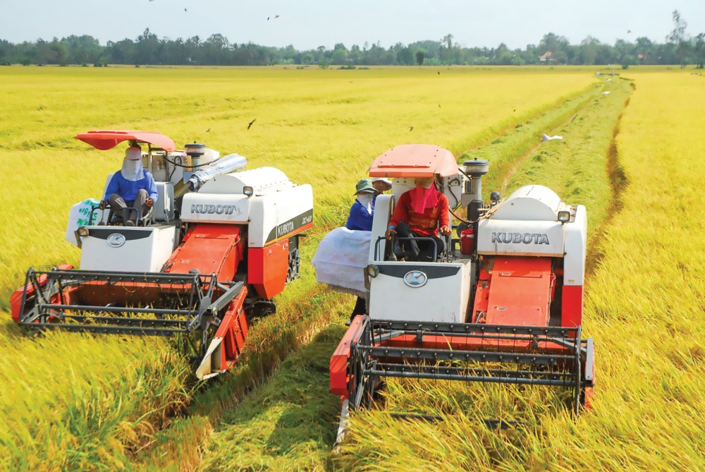 2 thị trường gạo chính của Việt Nam phải tăng mua vào- Ảnh 1.