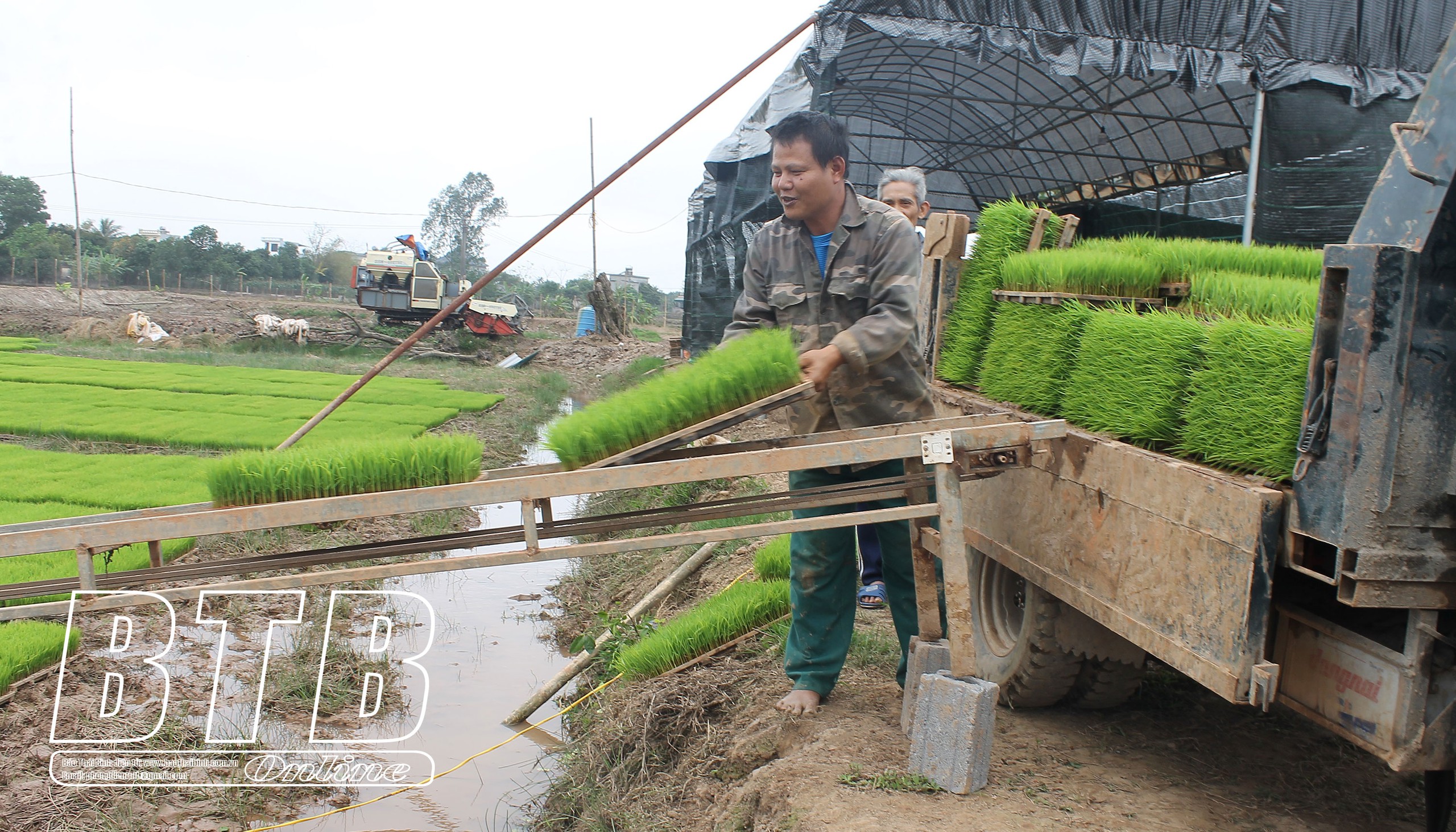11 chiếc máy xuất hiện, cánh đồng ở một xã của tỉnh Thái Bình không còn bị bỏ hoang- Ảnh 2.