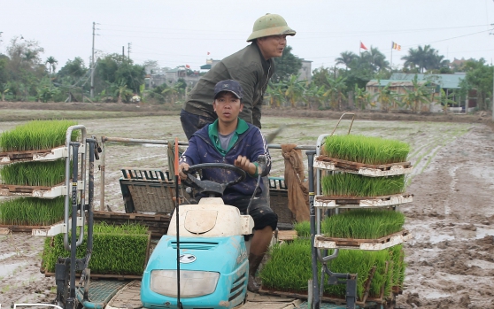 11 chiếc máy xuất hiện, cánh đồng ở một xã của tỉnh Thái Bình không còn bị bỏ hoang