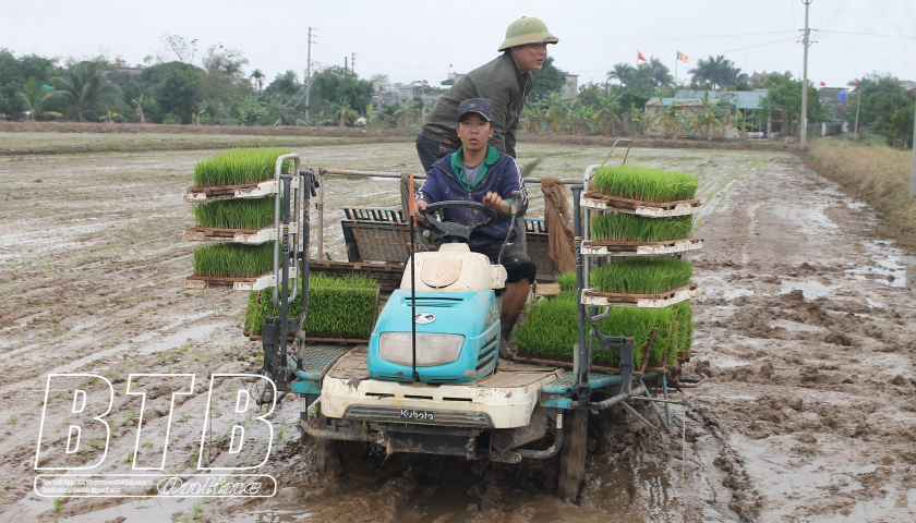 11 chiếc máy xuất hiện, cánh đồng ở một xã của tỉnh Thái Bình không còn bị bỏ hoang- Ảnh 1.