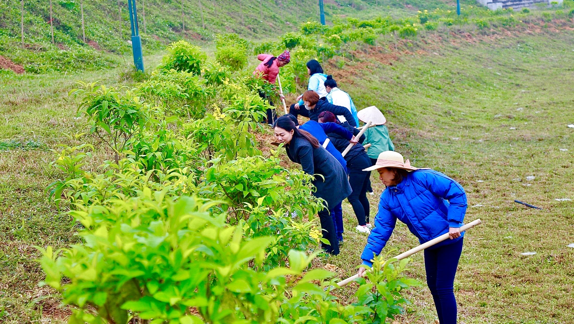Gần 5.000 tuyến đường hoa, vườn hoa nông thôn mới từ đôi bàn tay khéo léo của phụ nữ Phú Thọ- Ảnh 3.