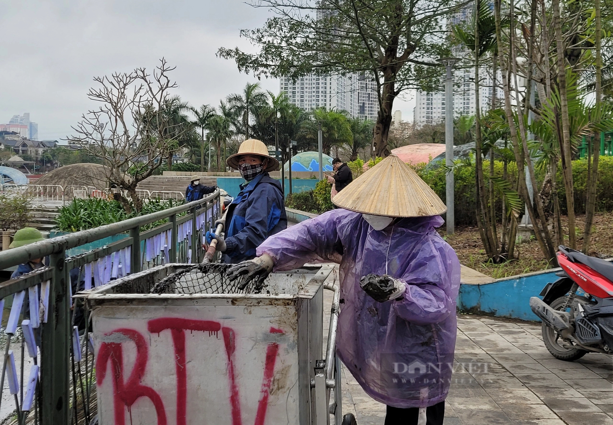 Cá chết bốc mùi hôi thối bên trong công viên Thiên văn học- Ảnh 4.