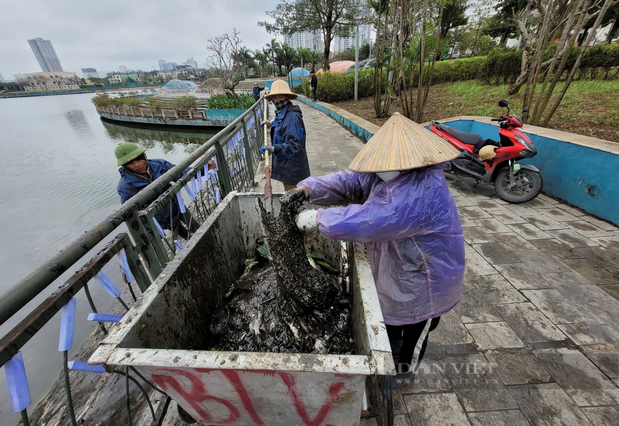 Cá chết bốc mùi hôi thối bên trong công viên Thiên văn học- Ảnh 5.