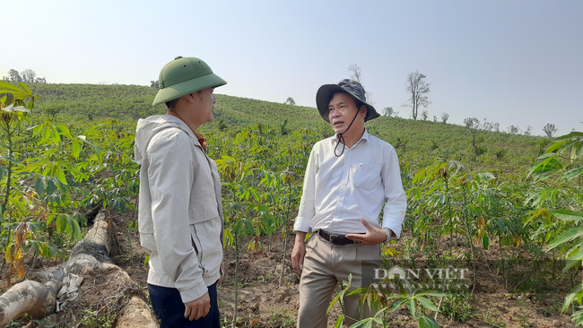 Vụ phá rừng chiếm 30ha đất ở Quảng Trị: Tiếp tục tạm đình chỉ vì ... chưa tìm thấy hồ sơ- Ảnh 2.