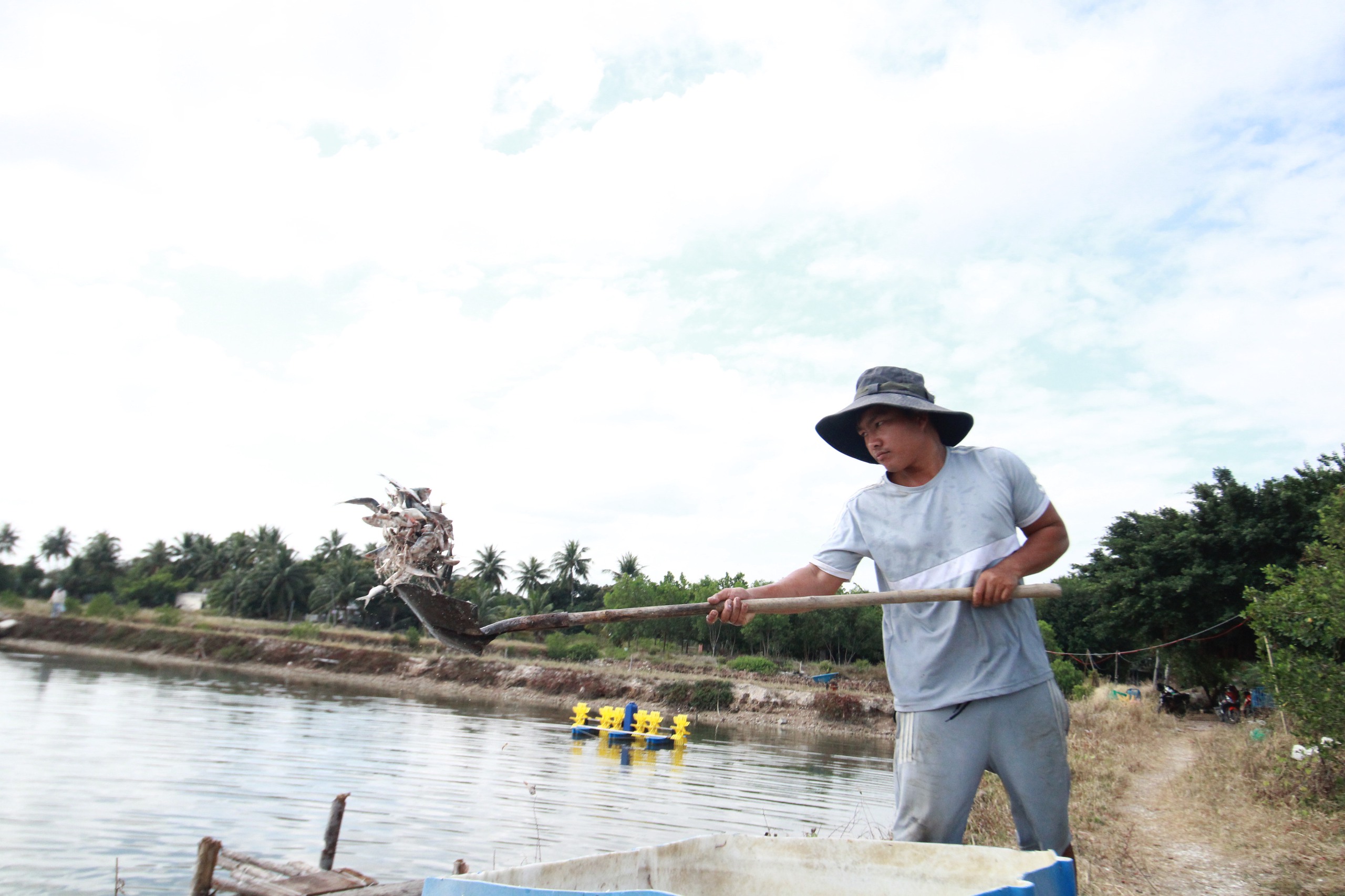 Nuôi cá đặc sản, đớp mồi nhảy rào rào, anh nông dân Khánh Hòa bán 150.000-200.000 đồng/kg- Ảnh 8.