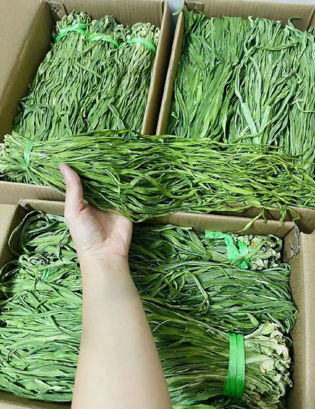 Loại rau trông như "nắm cỏ", xưa rẻ bèo nay giá tận 500 nghìn đồng/kg- Ảnh 1.