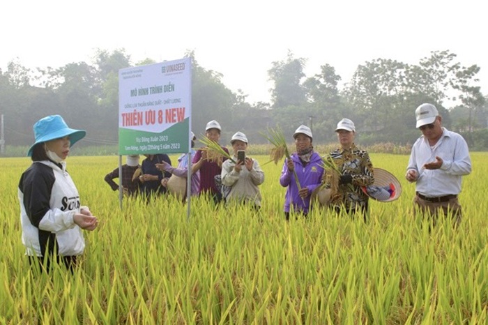 Người dân một huyện ở Phú Thọ tích cực hiến đất, góp hơn 133 tỷ đồng xây dựng nông thôn mới- Ảnh 2.
