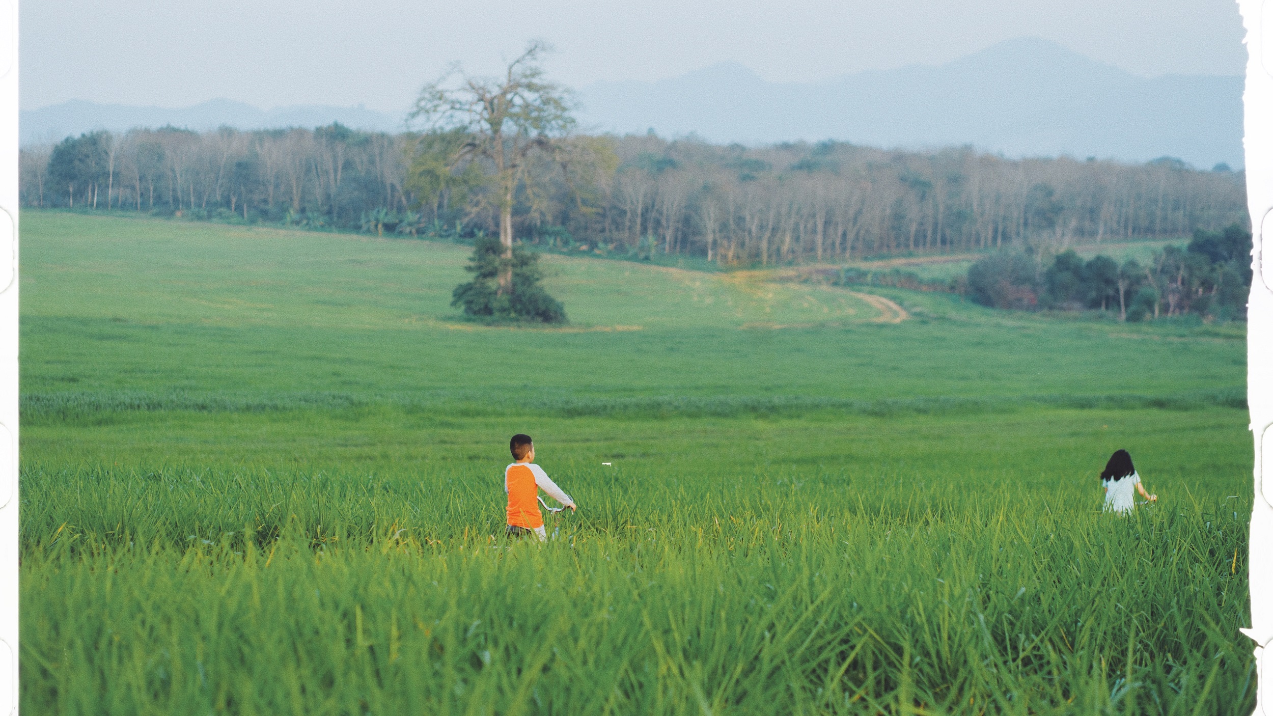 Du xuân, check-in đồng cỏ rộng hàng ngàn ha xanh mướt “đẹp như mơ” ở Nghĩa Đàn, Nghệ An- Ảnh 3.