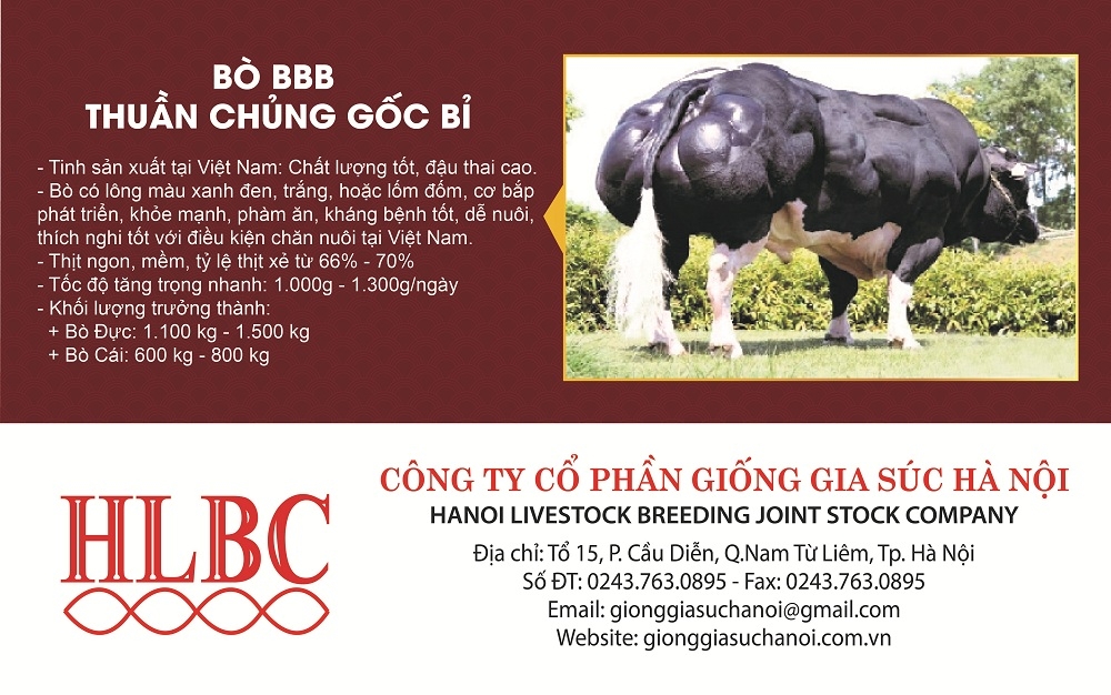 Công ty CP Giống gia súc - điểm sáng trong bức tranh sản xuất giống vật nuôi chất lượng cao của Thủ đô- Ảnh 1.