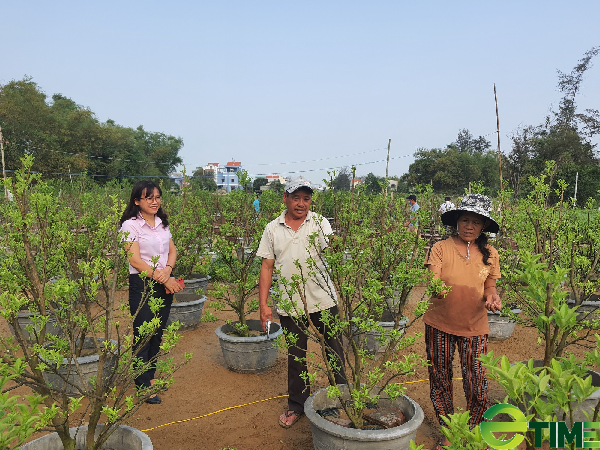 Vốn tín dụng chính sách là “cầu nối” giúp người dân Hội An phát triển kinh tế bền vững- Ảnh 6.