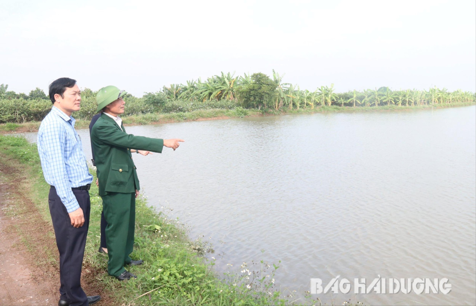 Đây là 2 con đặc sản mang về tiền tỷ cho dân một làng ven sông của tỉnh Hải Dương- Ảnh 1.