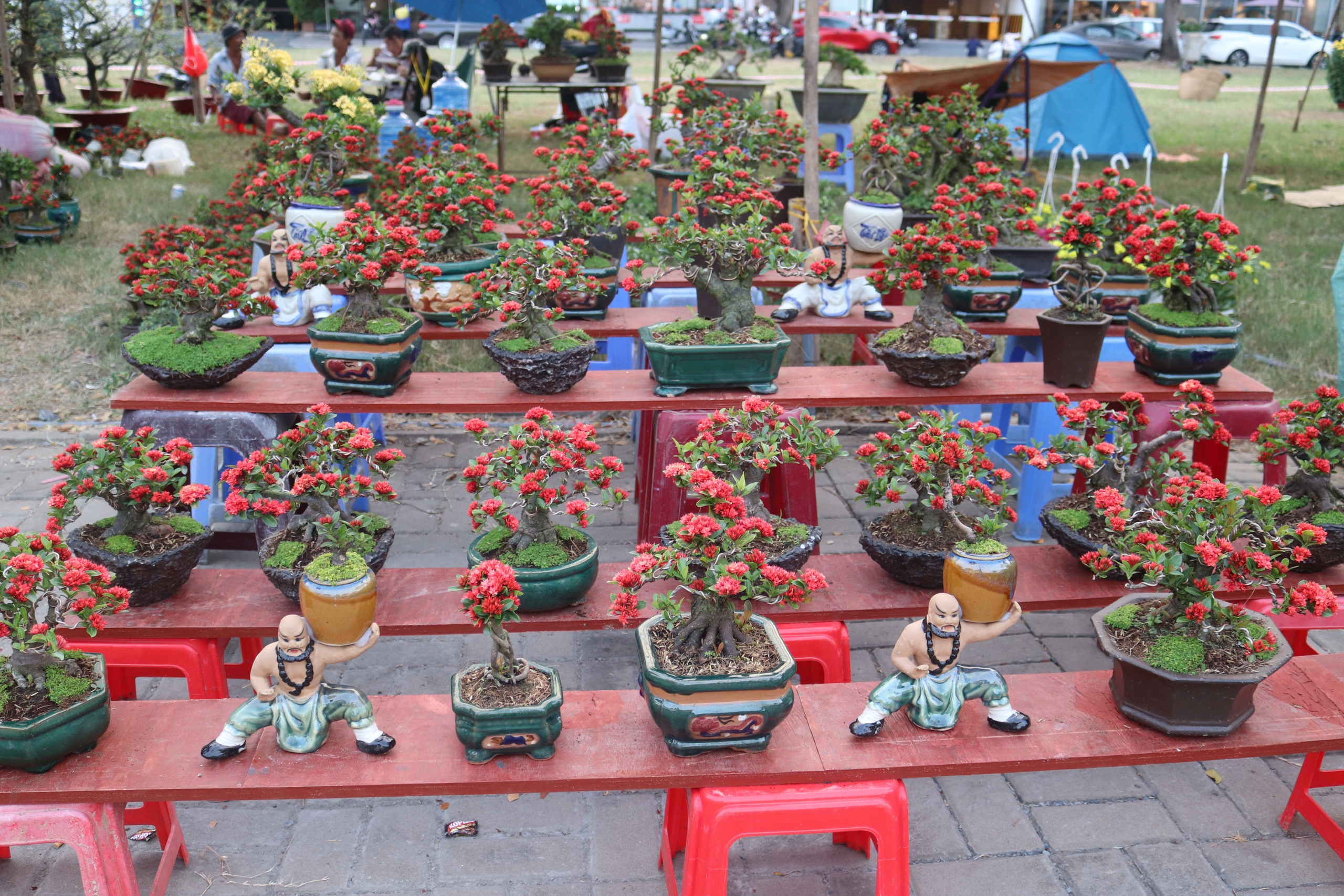 Chợ hoa Tết Phú Mỹ Hưng đã bán nhiều cây trăm triệu đồng- Ảnh 10.