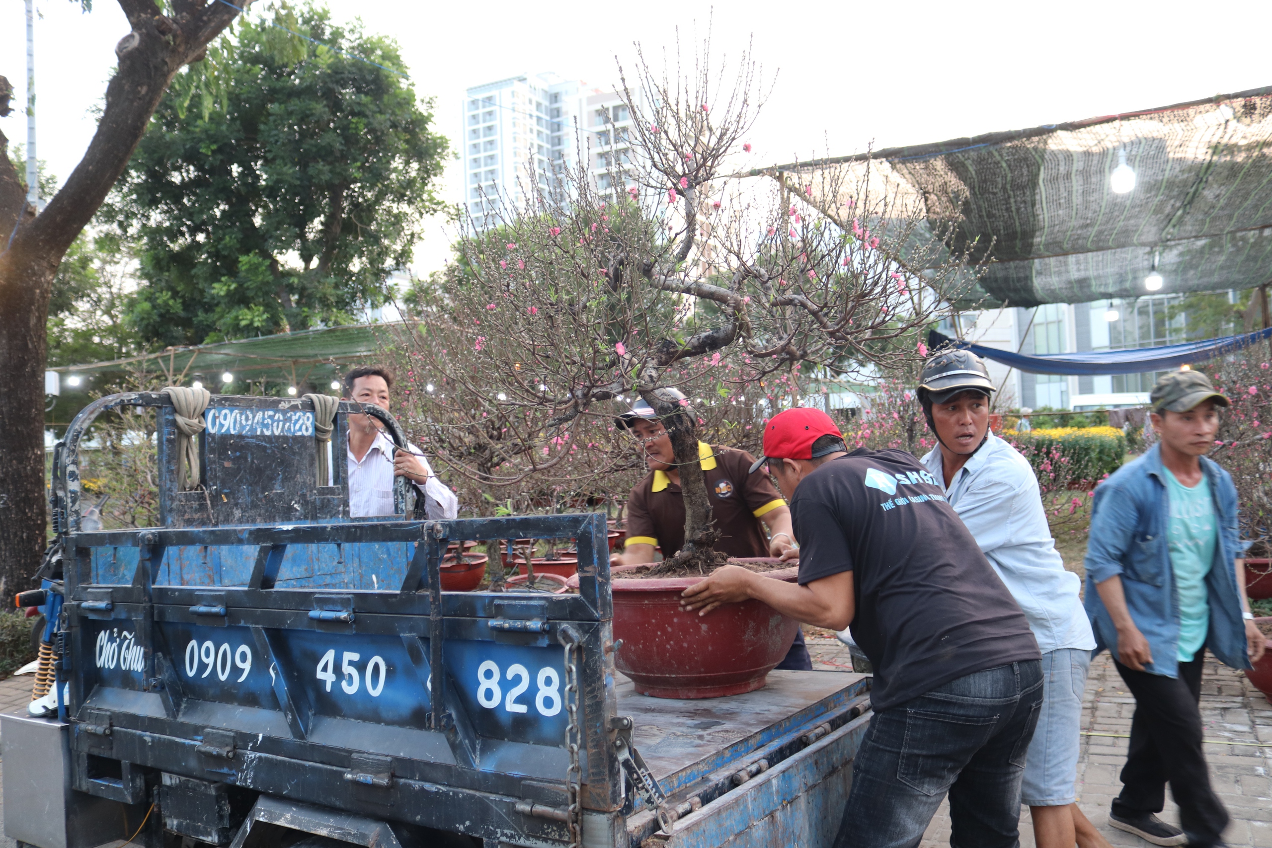 Chợ hoa Tết Phú Mỹ Hưng đã bán nhiều cây trăm triệu đồng- Ảnh 7.