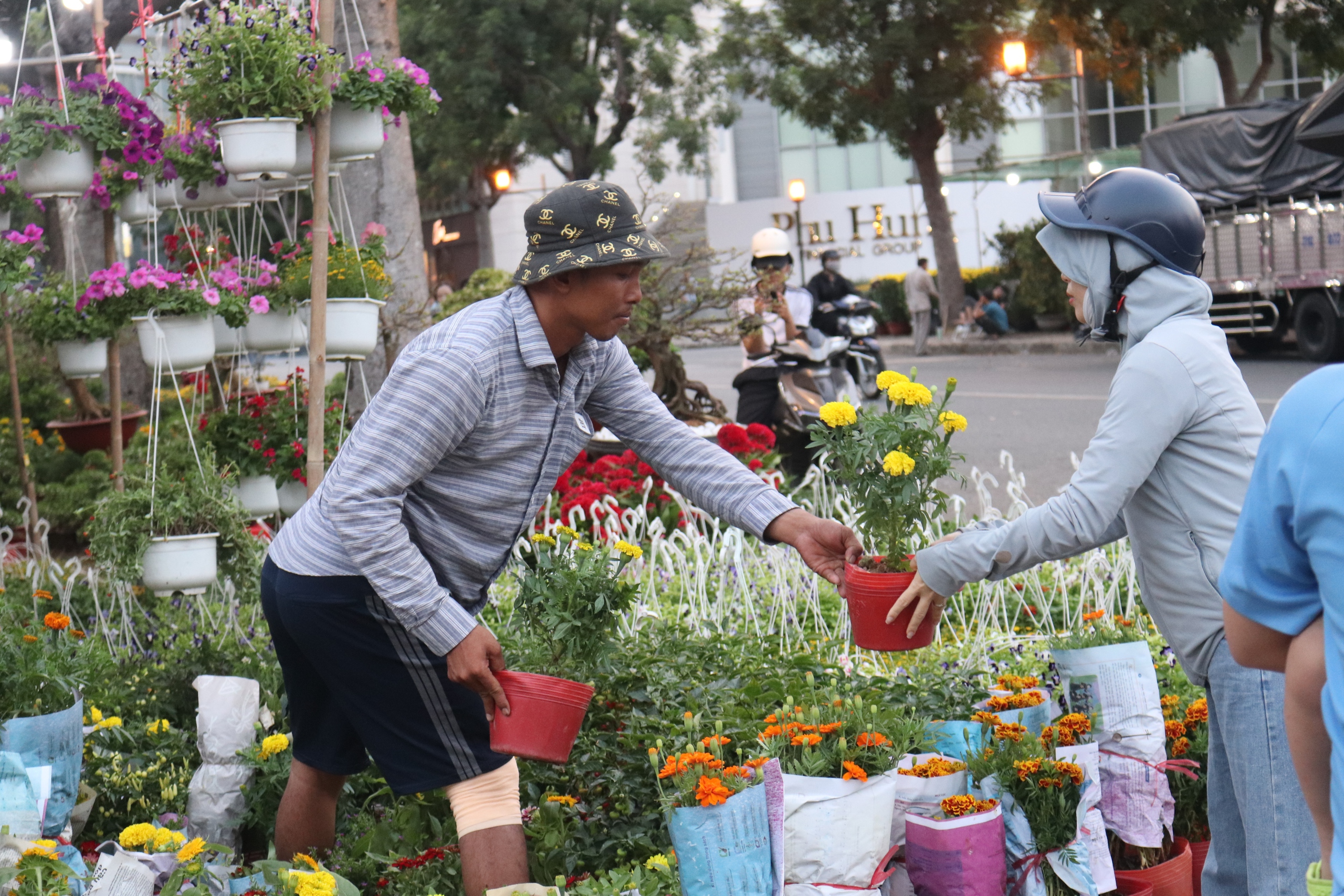 Chợ hoa Tết Phú Mỹ Hưng đã bán nhiều cây trăm triệu đồng- Ảnh 1.