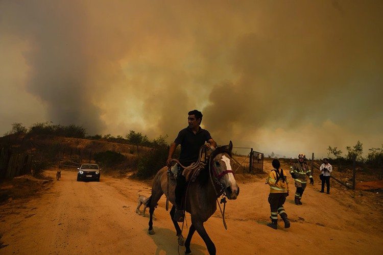 Hình ảnh cháy rừng hoành hành khiến ít nhất 46 người thiệt mạng- Ảnh 1.