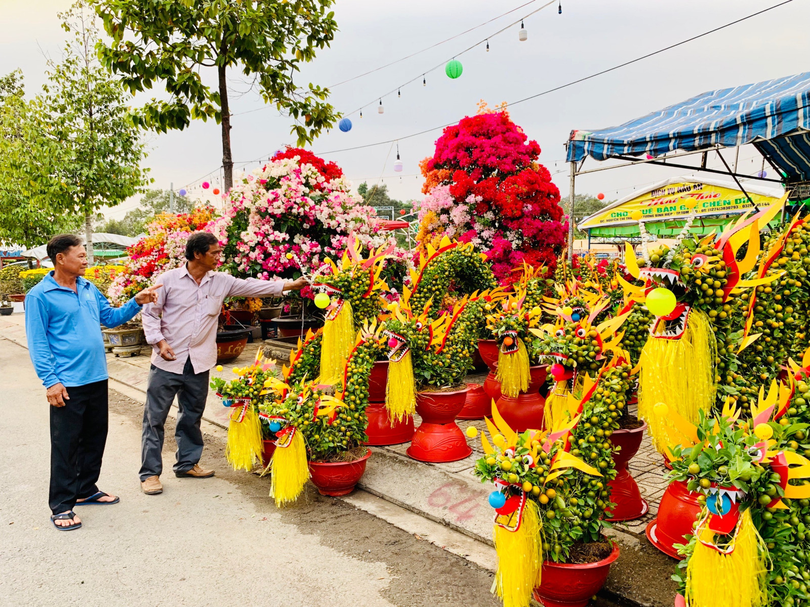 Chợ tết bên hè phố Bình Dương, chậu quất hình rồng, cây hoa giấy "trộn" nhiều màu sắc hút người xem- Ảnh 1.