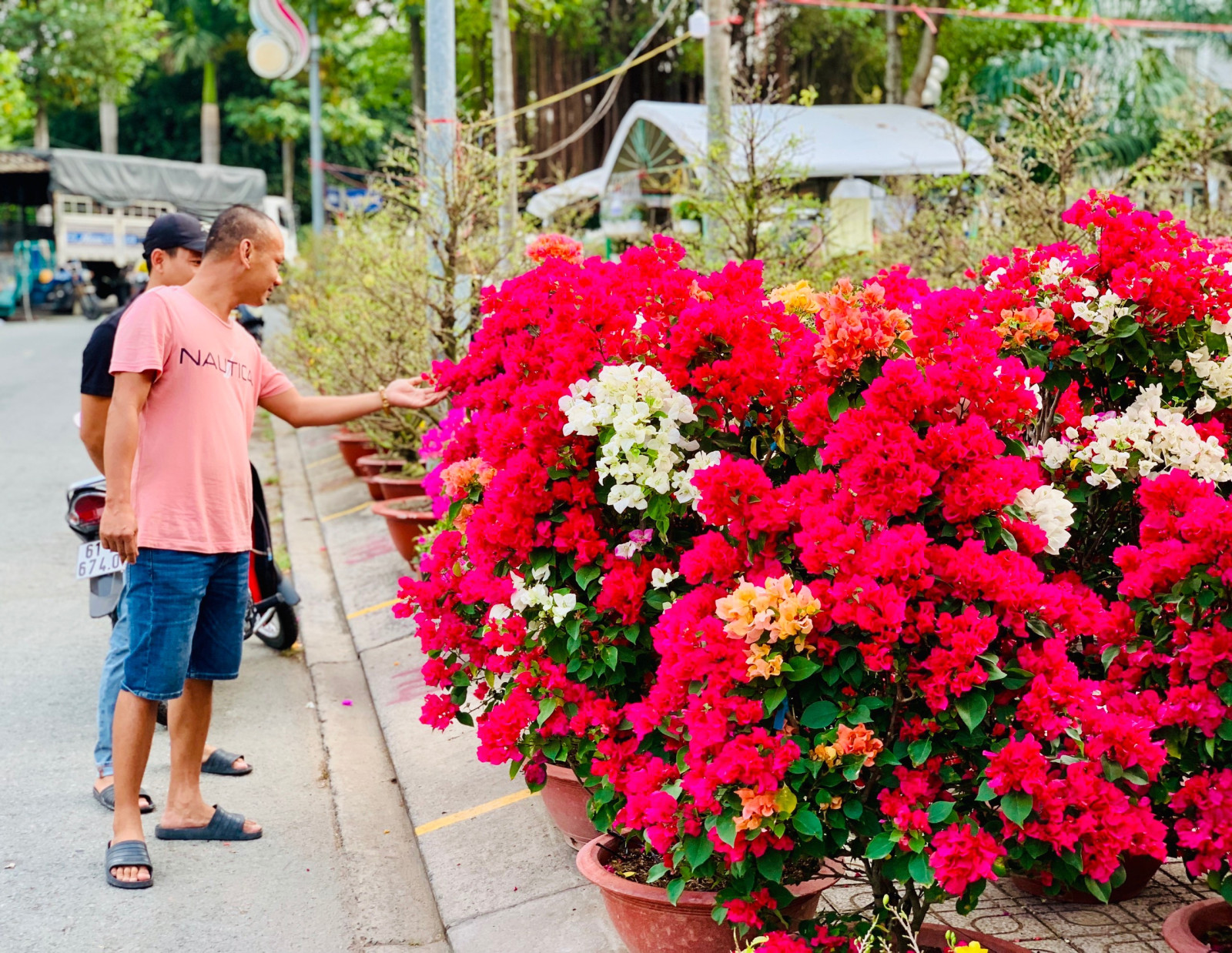 Chợ tết bên hè phố Bình Dương, chậu quất hình rồng, cây hoa giấy "trộn" nhiều màu sắc hút người xem- Ảnh 2.