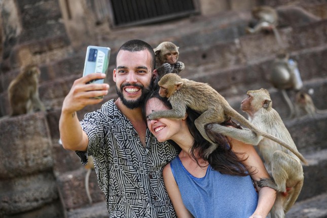 Thành phố du lịch nổi tiếng bị 3.500 con khỉ 'xâm chiếm'- Ảnh 3.