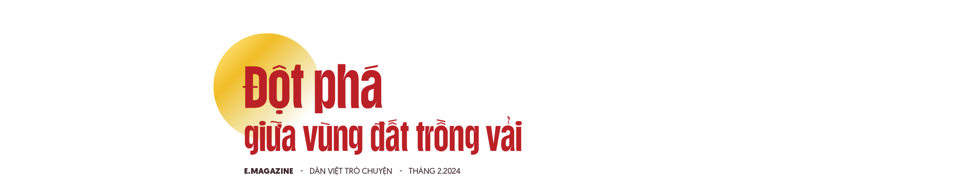 Nông dân Việt Nam xuất sắc Nguyễn Văn Hữu: "Cãi" cả họ phá vải thiều trồng bưởi và khu vườn hạnh phúc- Ảnh 1.