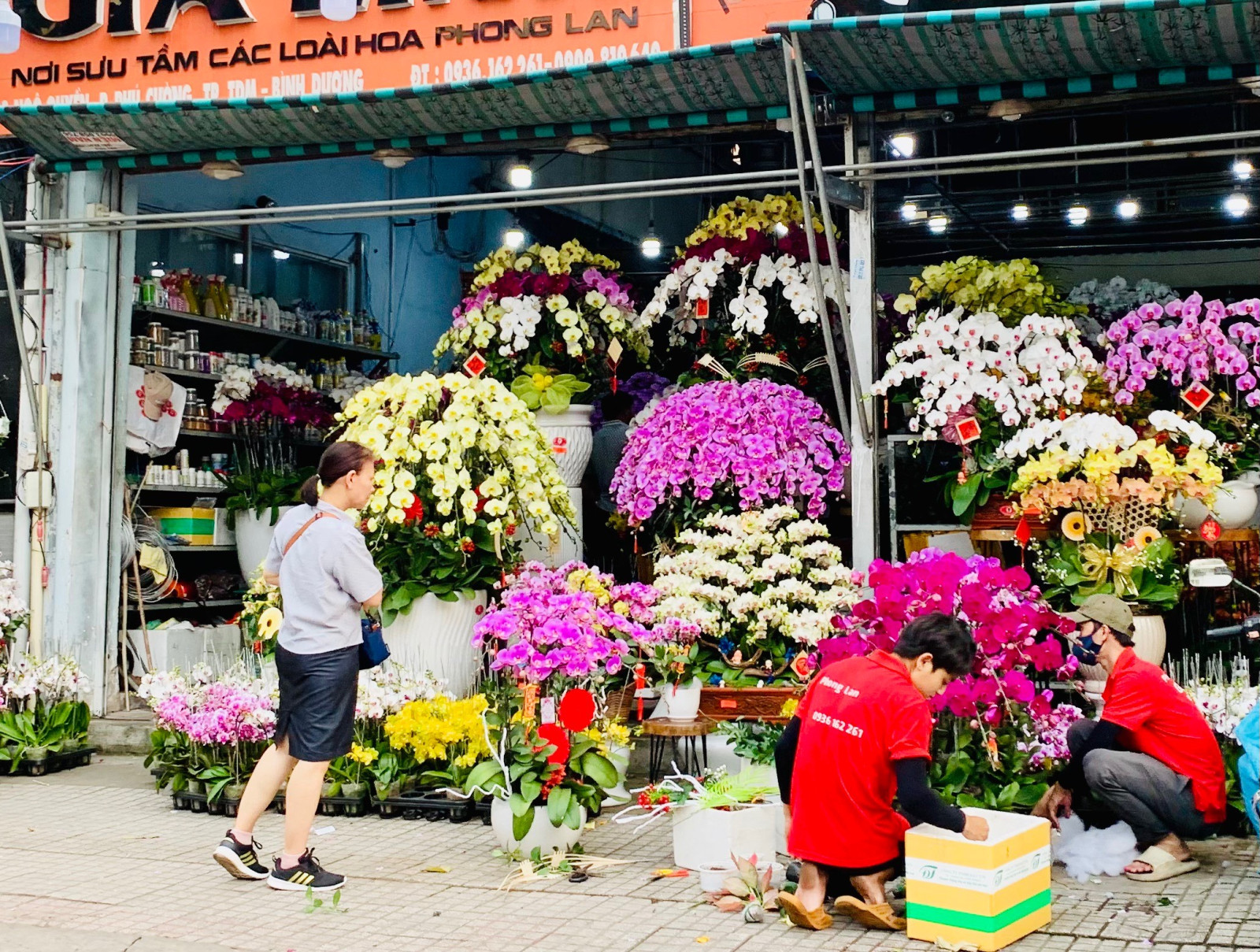 Chợ tết bên hè phố Bình Dương, chậu quất hình rồng, cây hoa giấy "trộn" nhiều màu sắc hút người xem- Ảnh 4.