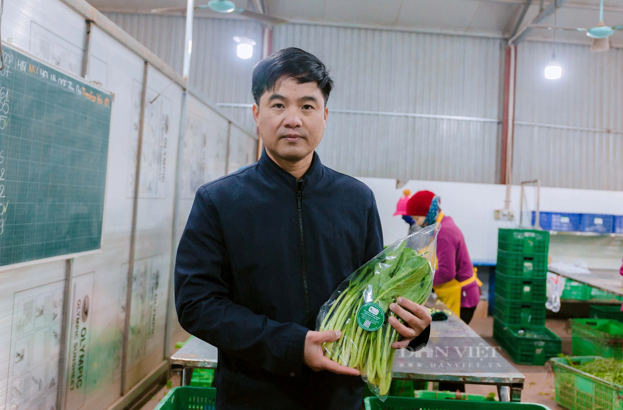 Hưng Yên: Một HTX trồng rau VietGAP lãi 100 triệu đồng/ha, cung ứng 15-20 tấn rau/ngày dịp Tết Giáp Thìn- Ảnh 3.