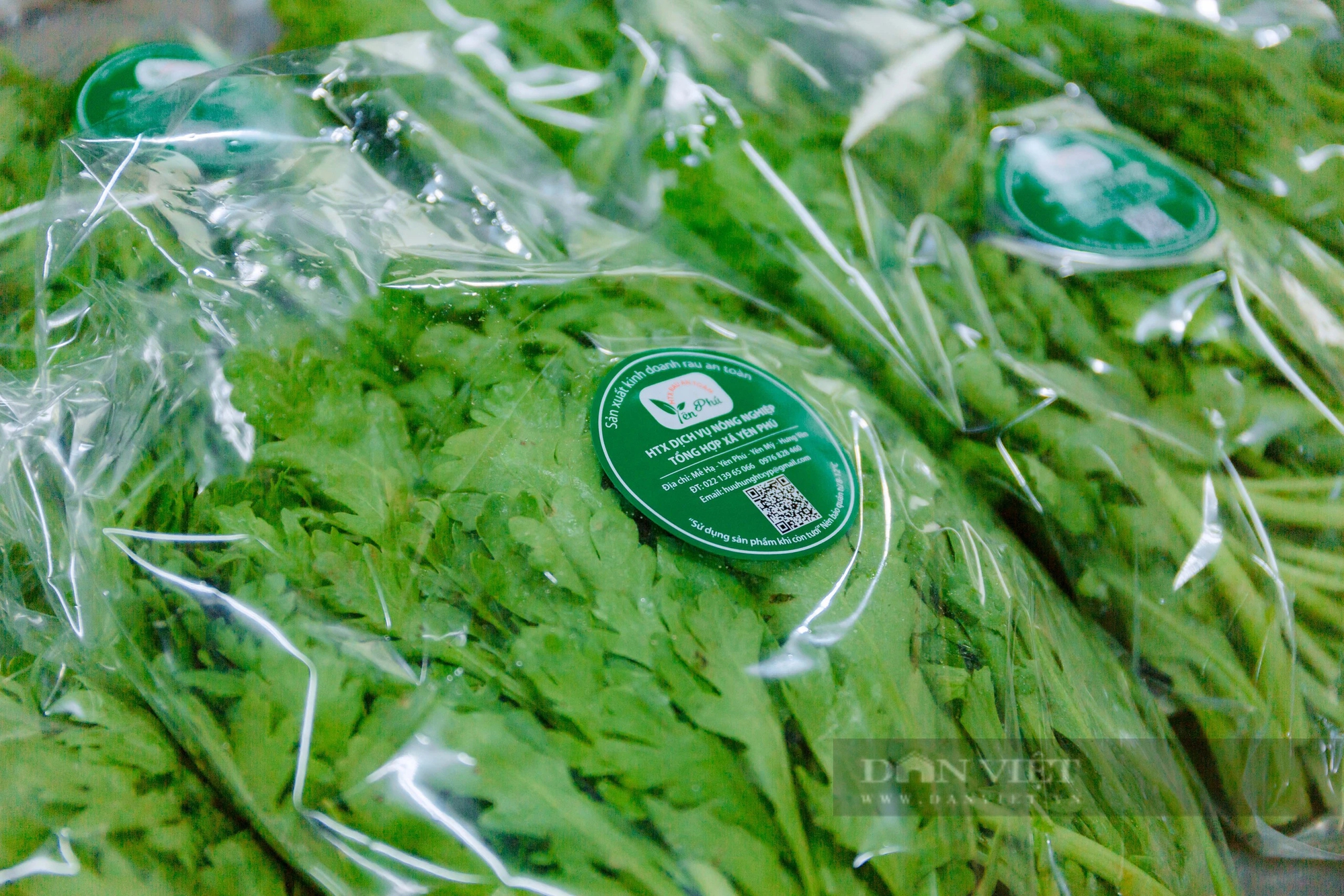 Hưng Yên: Một HTX trồng rau VietGAP lãi 100 triệu đồng/ha, cung ứng 15-20 tấn rau/ngày dịp Tết Giáp Thìn- Ảnh 5.